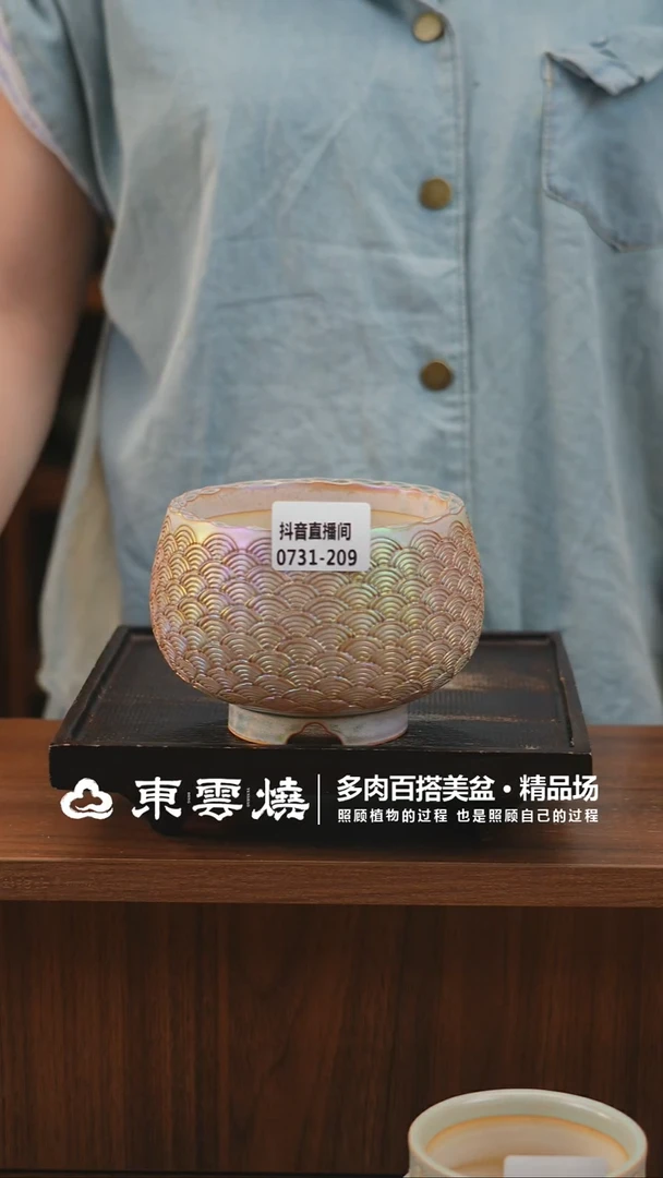 0731-209C小满钵内口10