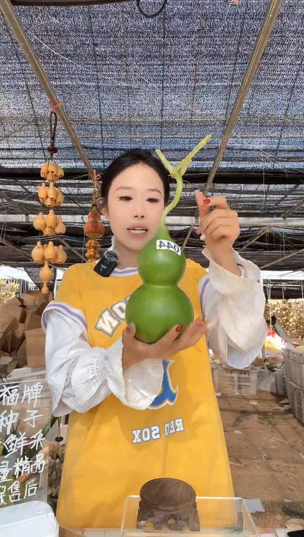 044天然葫芦摆件 一物一拍龙头不保售后微瑕疵