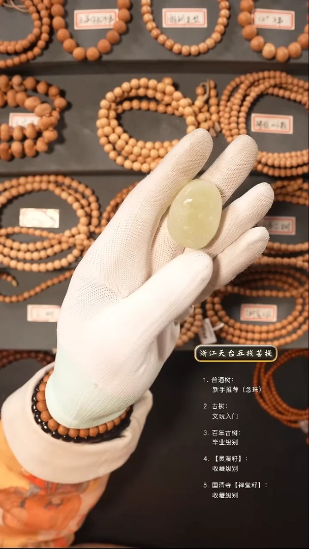 【闪购商品】五线菩提吊坠手串