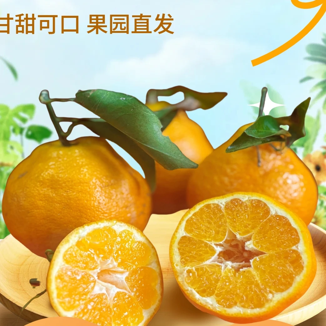 荣麓歆农优选耙耙柑【九甜一酸】