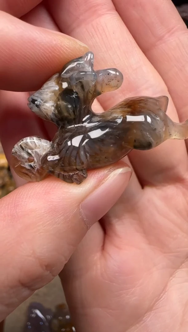 硅化珊瑚（珊瑚玉）未镶嵌颈饰157