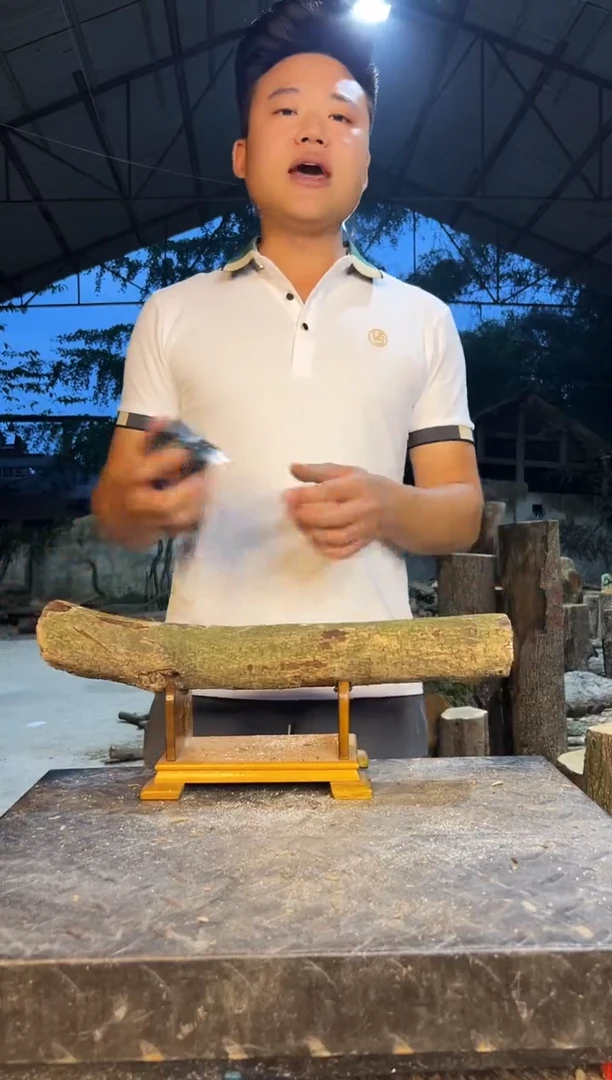 四川小叶桢楠金丝楠