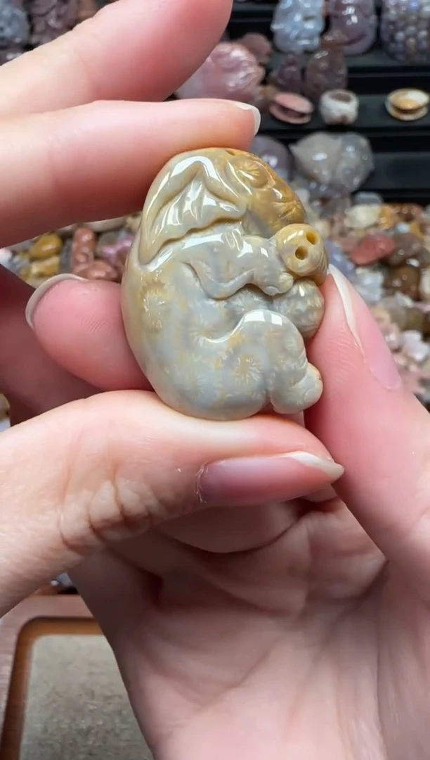 颈饰未镶嵌硅化珊瑚（珊瑚玉）251