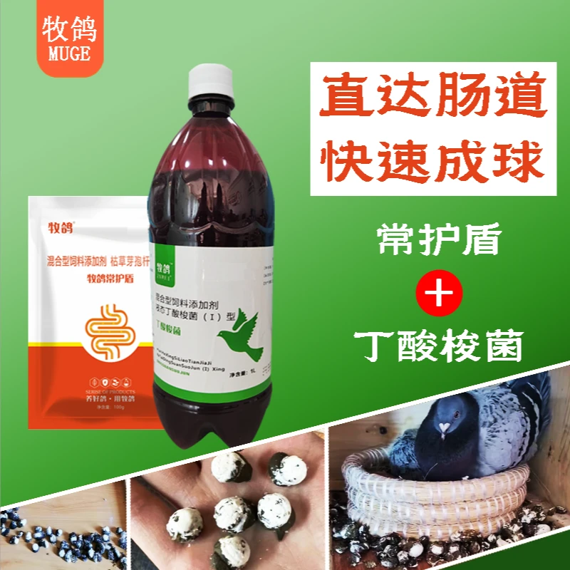 新疆可拍 调理鸽子肠道，便便迅速成球，天然饲料添加剂，复购率高