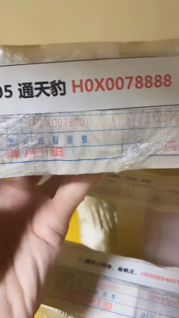 M 05 通天豹 H0X0078888
