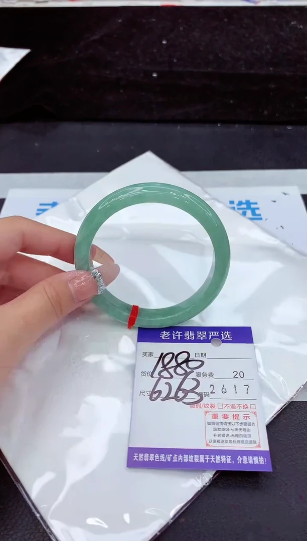 未镶嵌手镯翡翠11