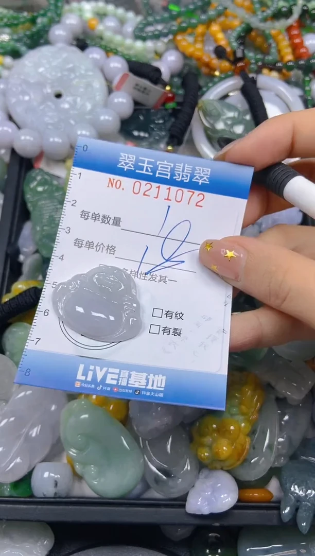 颈饰未镶嵌翡翠闪购C0211072