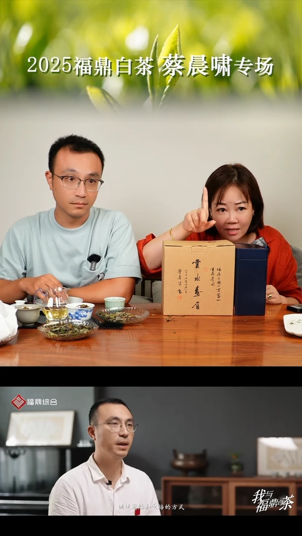 茶壶紫砂蔡晨啸 2025云水寿眉400克+100克