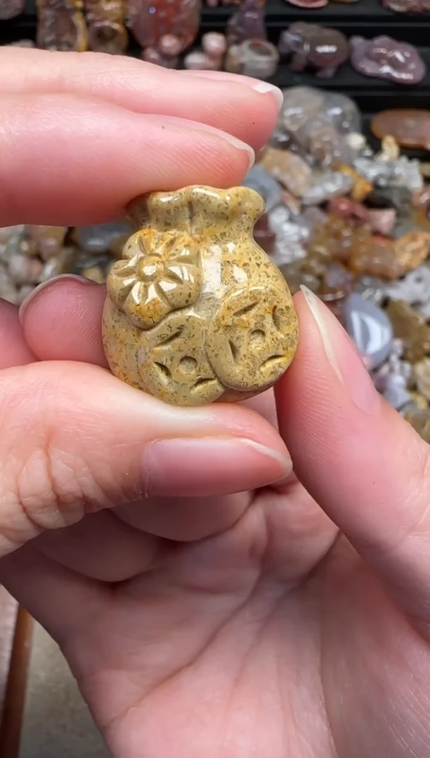 颈饰未镶嵌硅化珊瑚（珊瑚玉）326