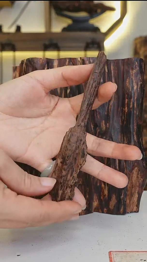 降真香海南红降花梨公原料随形手把件红土埋料13g