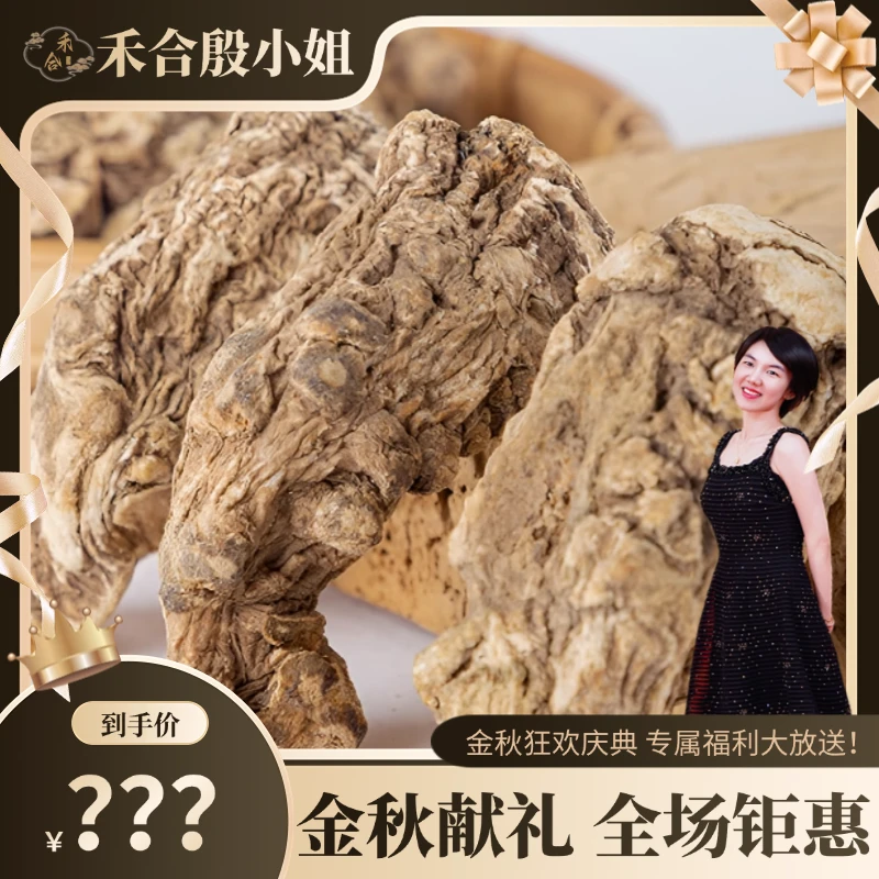 【殷小姐金秋专属】精选无硫当归头 可搭配花胶干货