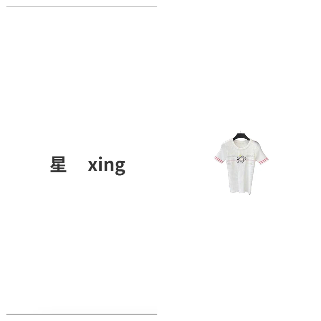 171夏装新款圆领套头针织短袖显瘦百搭上衣54189