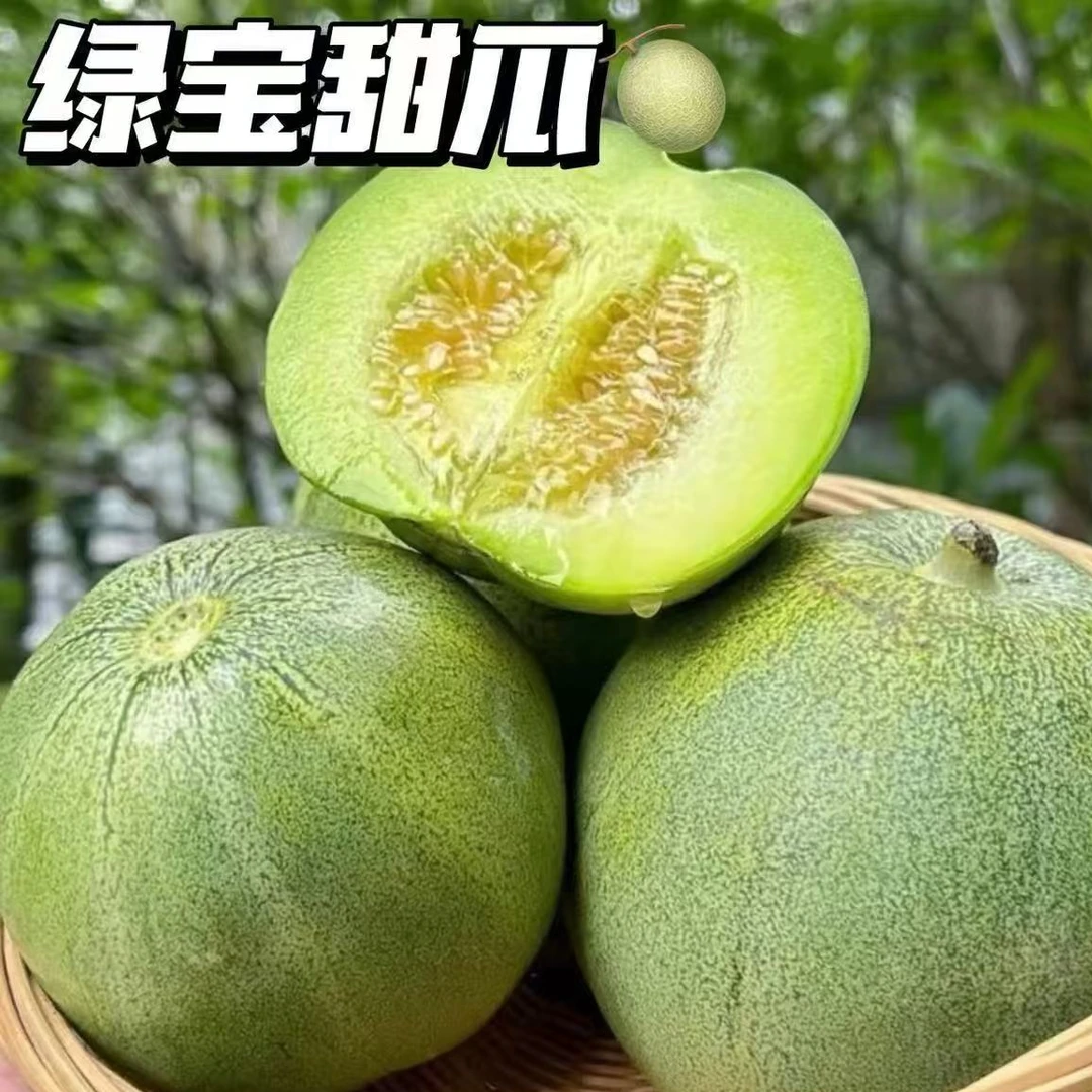18绿宝甜瓜  香甜可口！净重5斤【只发河南省】