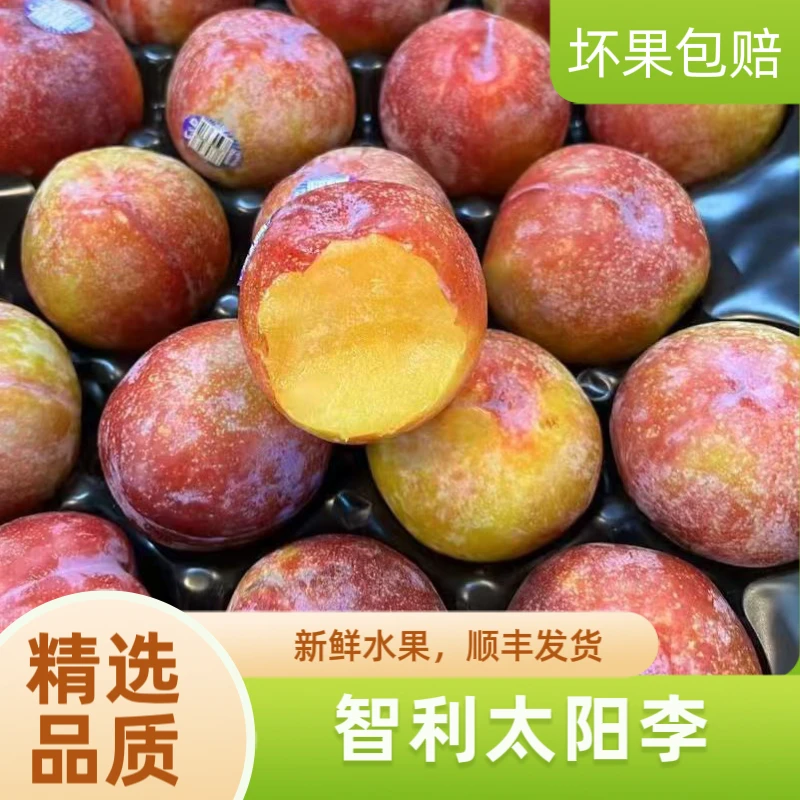 现货智利太阳李精选李子当季新鲜时令孕妇水果酸甜口感顺丰发货