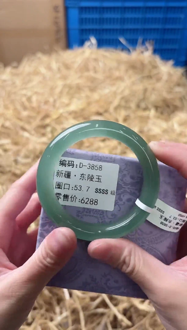 未镶嵌手镯石英质玉D-3858