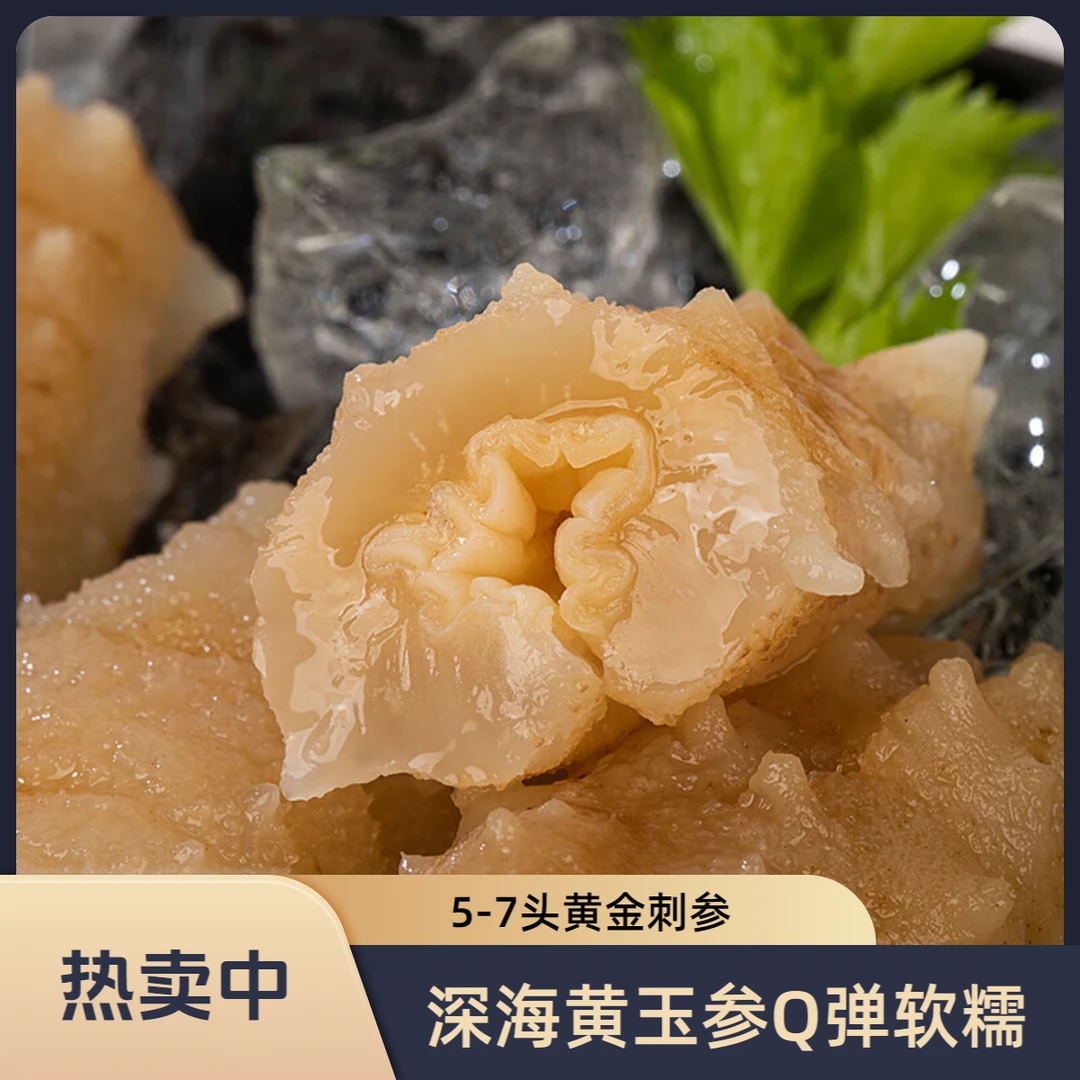 旻源参帮主海参（5-7头/斤）鲜食海参新鲜海参野生海参