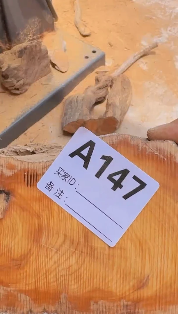 柏木太行陈化崖柏一片147