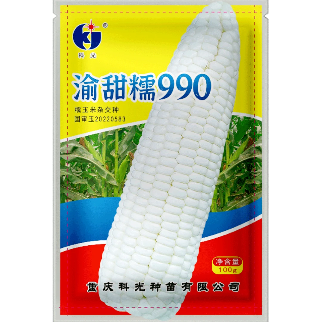渝甜糯990高产玉米白糯种子鲜食玉米水果玉米甜糯玉米种子