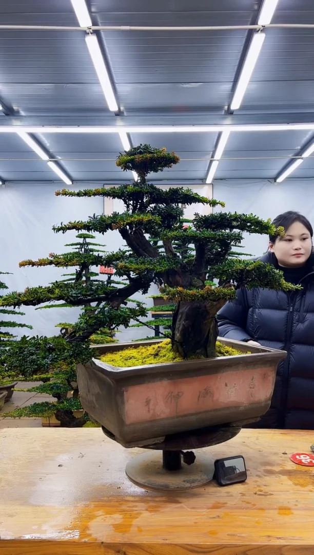 无花朵开**俺一物一拍·所见即所得