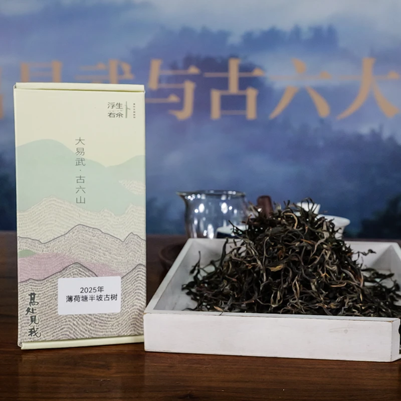 2025年弯弓薄荷塘半坡古树散茶【春】云南普洱茶品鉴100克