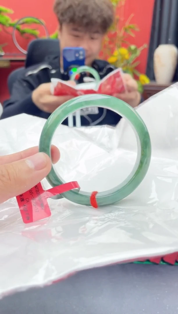 未镶嵌手镯翡翠6