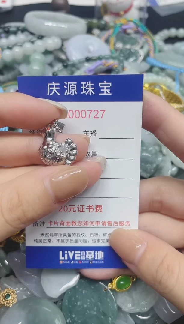 翡翠未镶嵌颈饰088