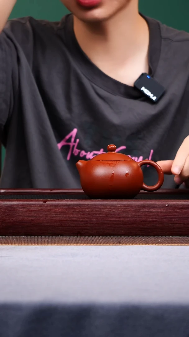 茶壶紫砂宜兴原矿紫砂作品