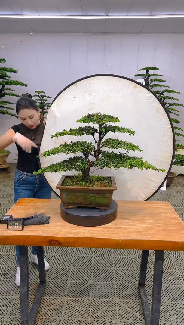 无花朵一物一拍一物一拍