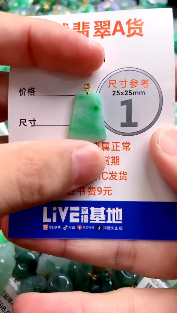 颈饰18K金镶嵌翡翠0046713249