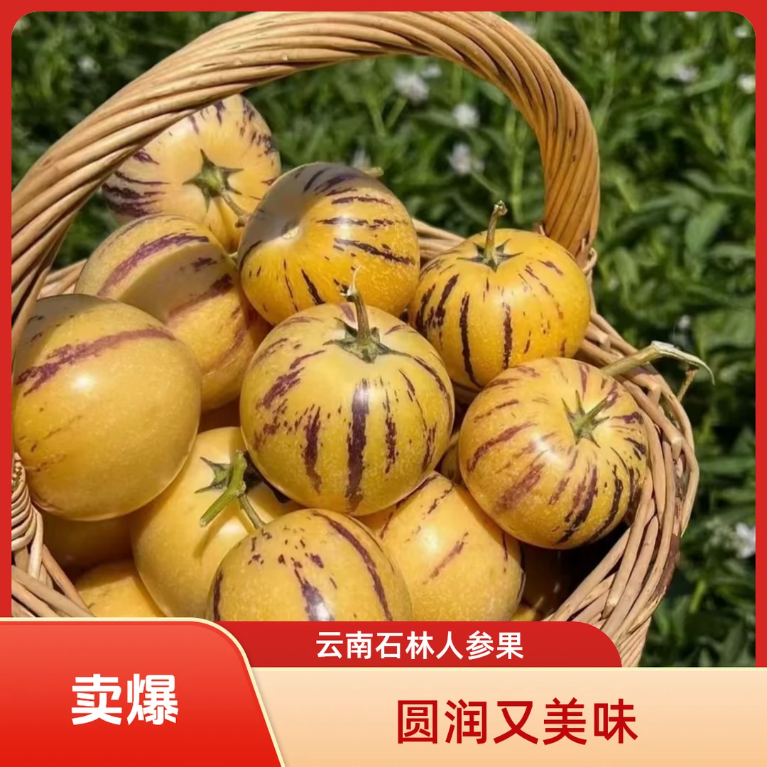 【树上熟】正宗云南人参果黄肉圆果清甜多汁皮薄肉厚新鲜人参果水果
