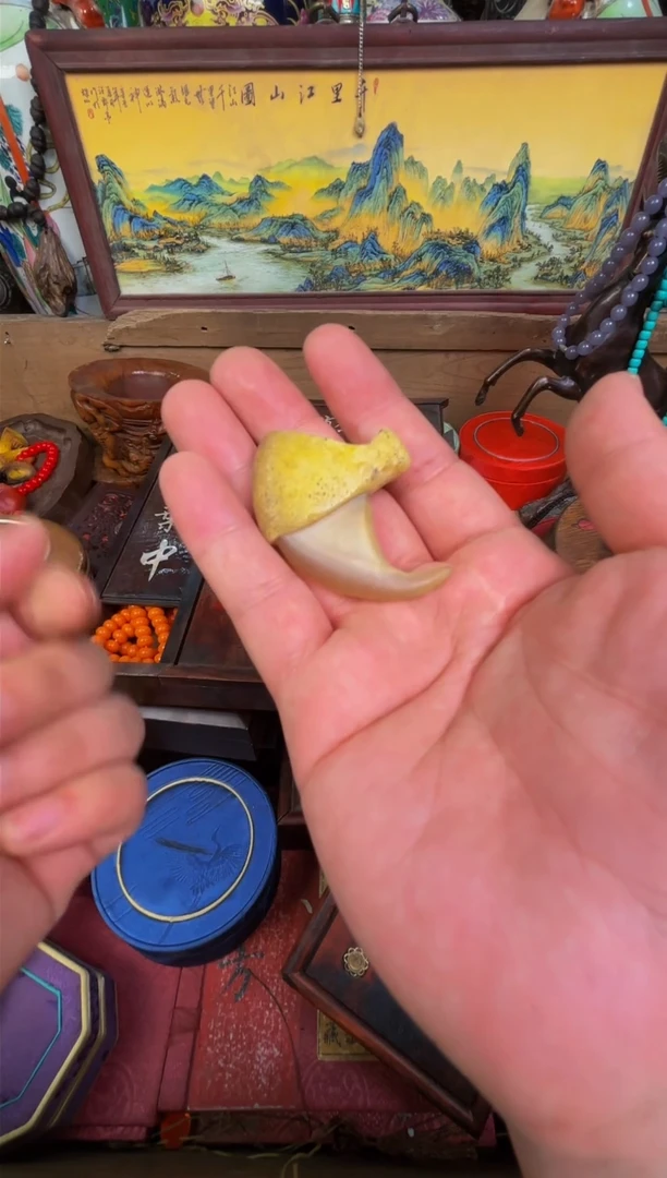 【闪购商品】木楠专属哈哈哈哈哈