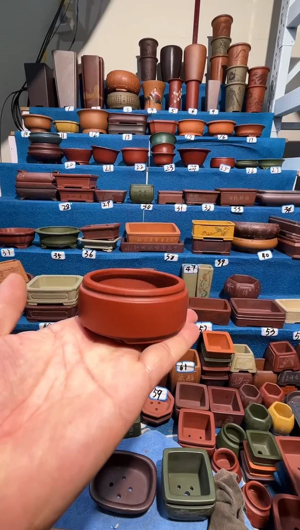 【闪购商品】紫砂紫砂花盆6.5*2.7