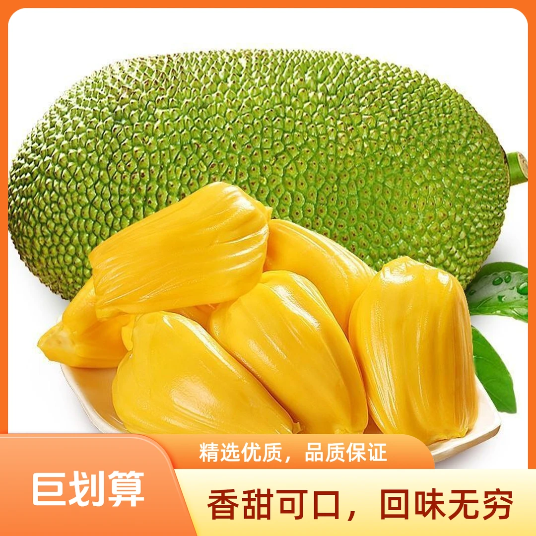 菠萝蜜整果（约8-9斤）榴莲蜜广西壮族自治区
