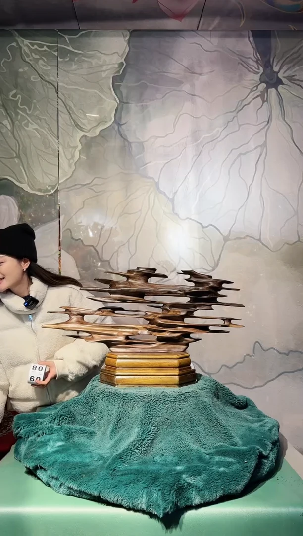 【闪购商品】金丝楠金丝楠木随形摆件8