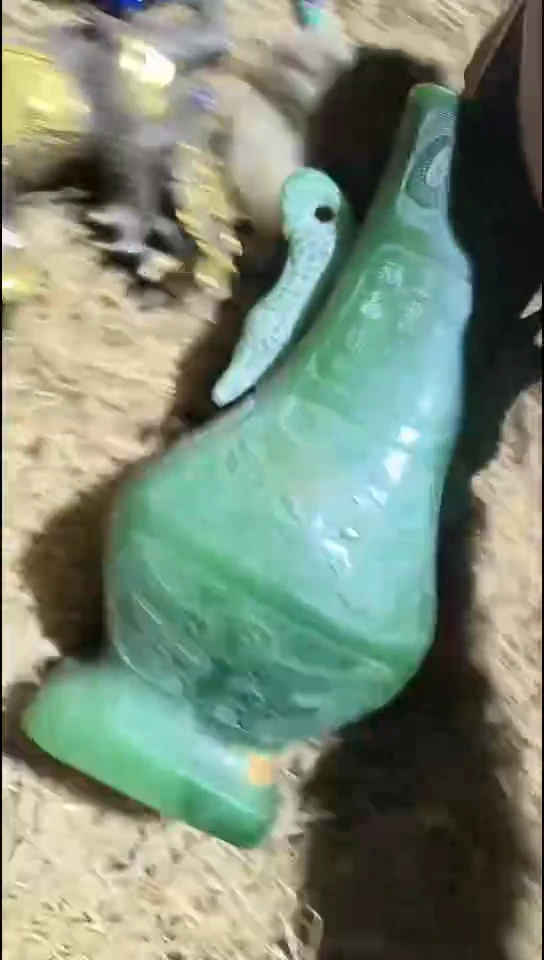 香榧木（1个小复利）