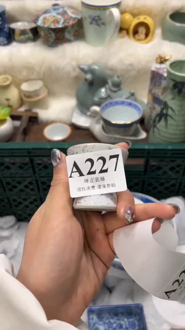 【闪购商品】瓷片          A227