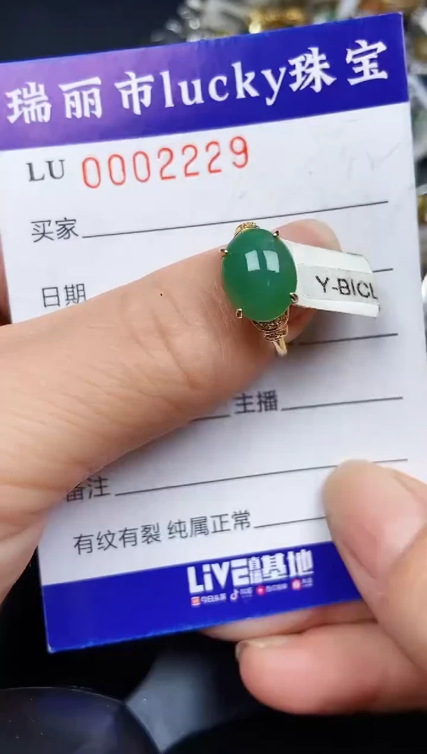 翡翠银S925镶嵌颈饰2229