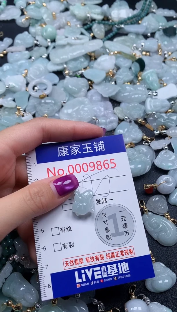 颈饰未镶嵌翡翠9865