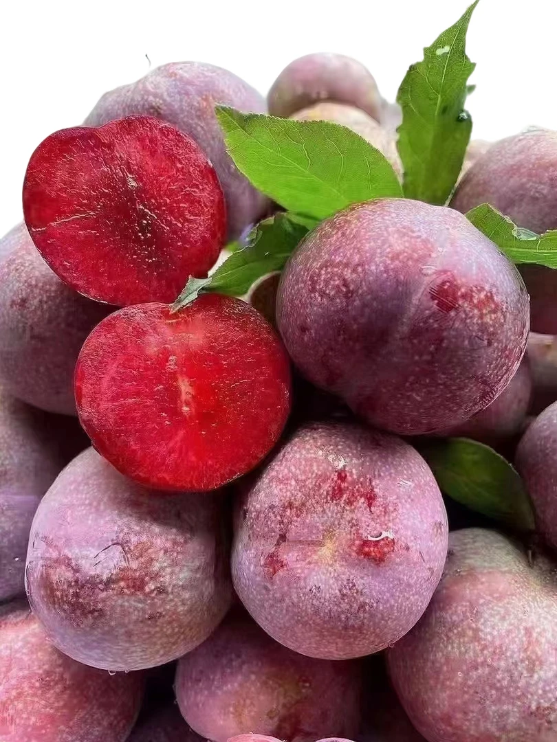 广东三华李蜂糖李红心新鲜现摘现发顺丰包邮孕妇应季水果酸脆多汁