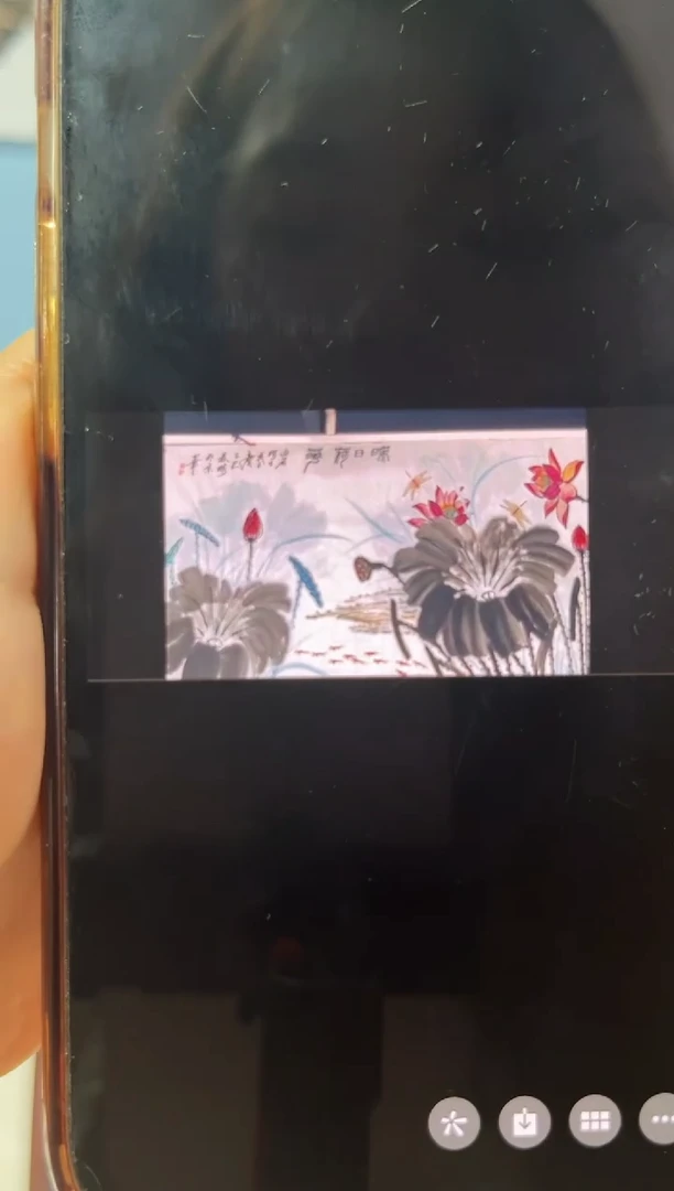 国画武天庆映日荷花尾款