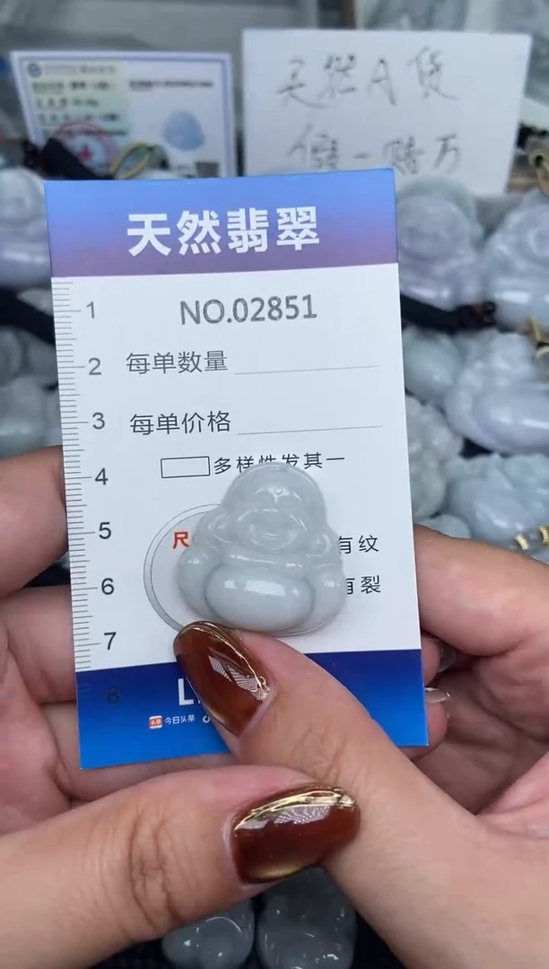 颈饰未镶嵌翡翠纯天然A货翡翠2851