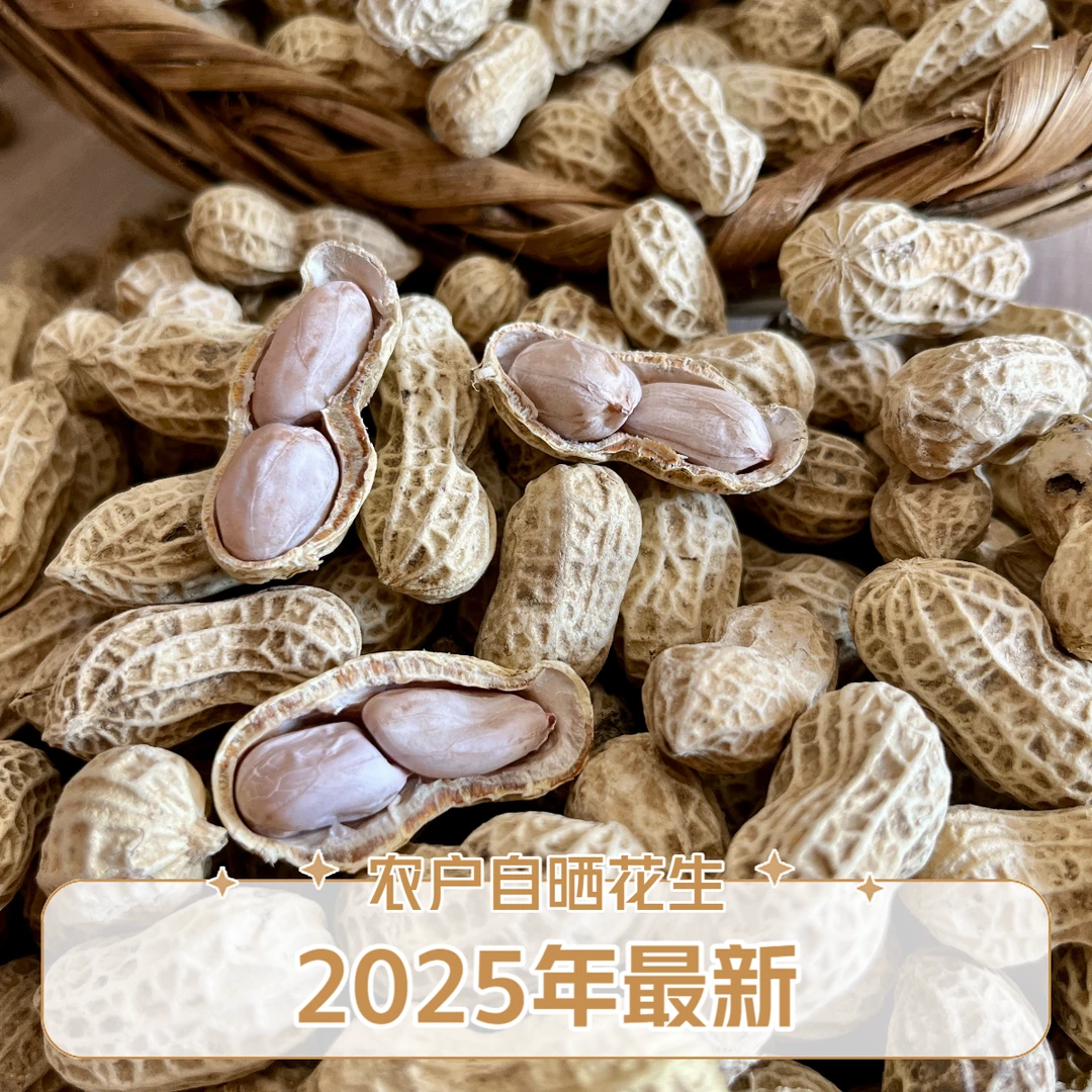 2025最新农家自晒水煮花生小时候的回忆自种自晒花生干
