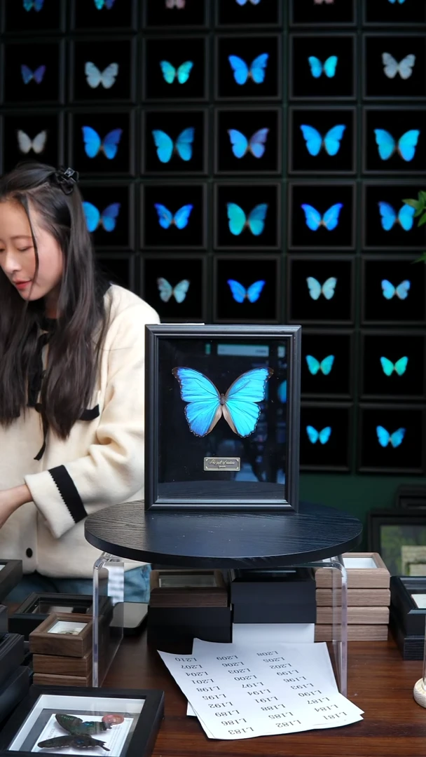 R****l微瑕蝴蝶标本摆件一口L175
