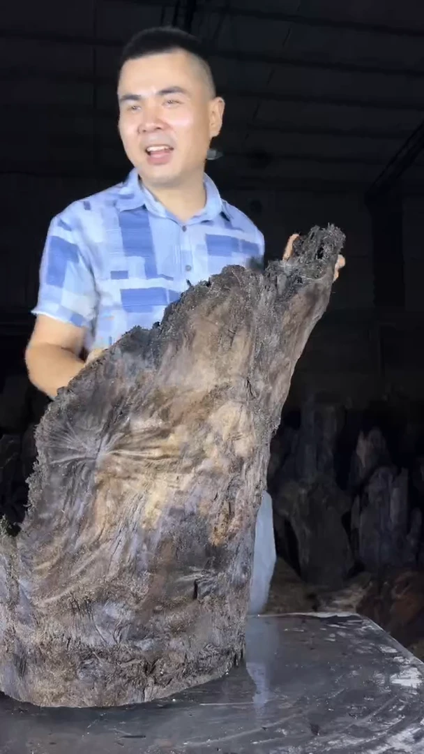 金丝楠54金丝楠小叶桢楠