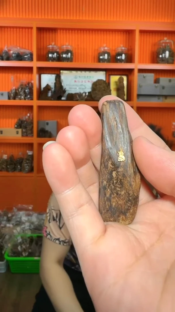 沉香吊坠517号天然野沉水挂件多样性发一