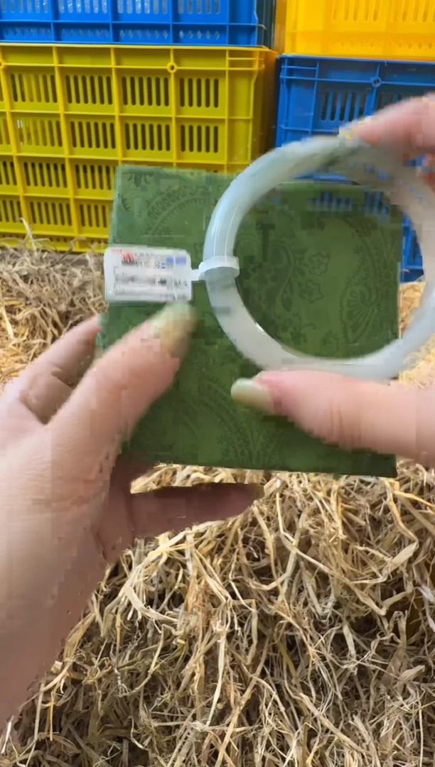 未镶嵌手镯石英质玉2301