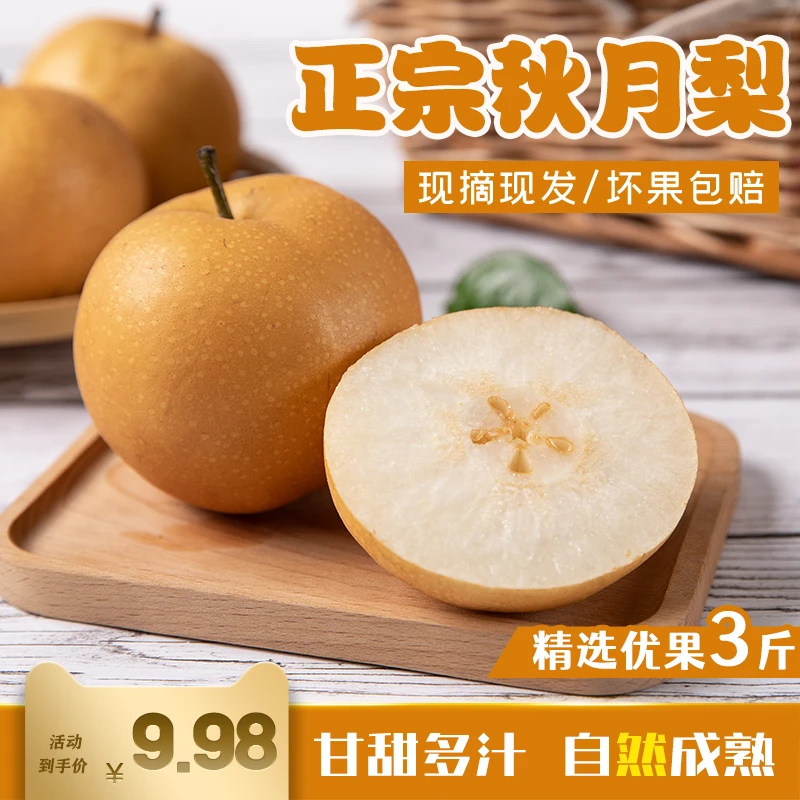正宗秋月梨脆甜多汁细嫩化渣应季新鲜水果