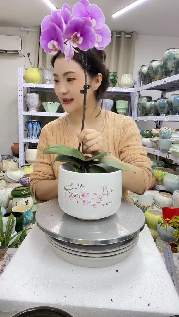 12.30陶瓷花盆直播链接高.     13 口16