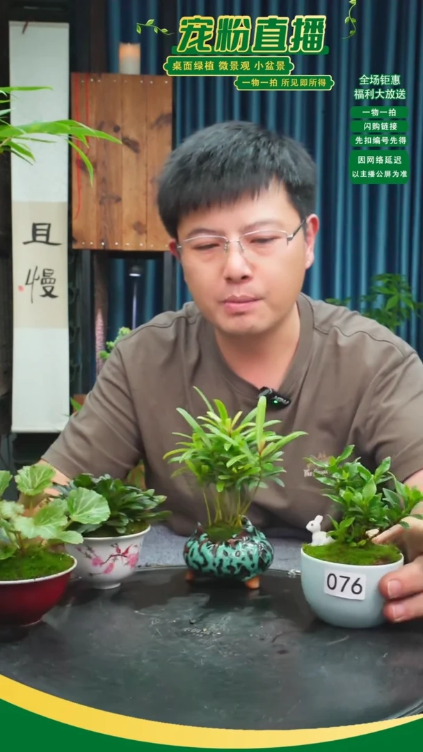无花朵夏***^苔藓微景观076号