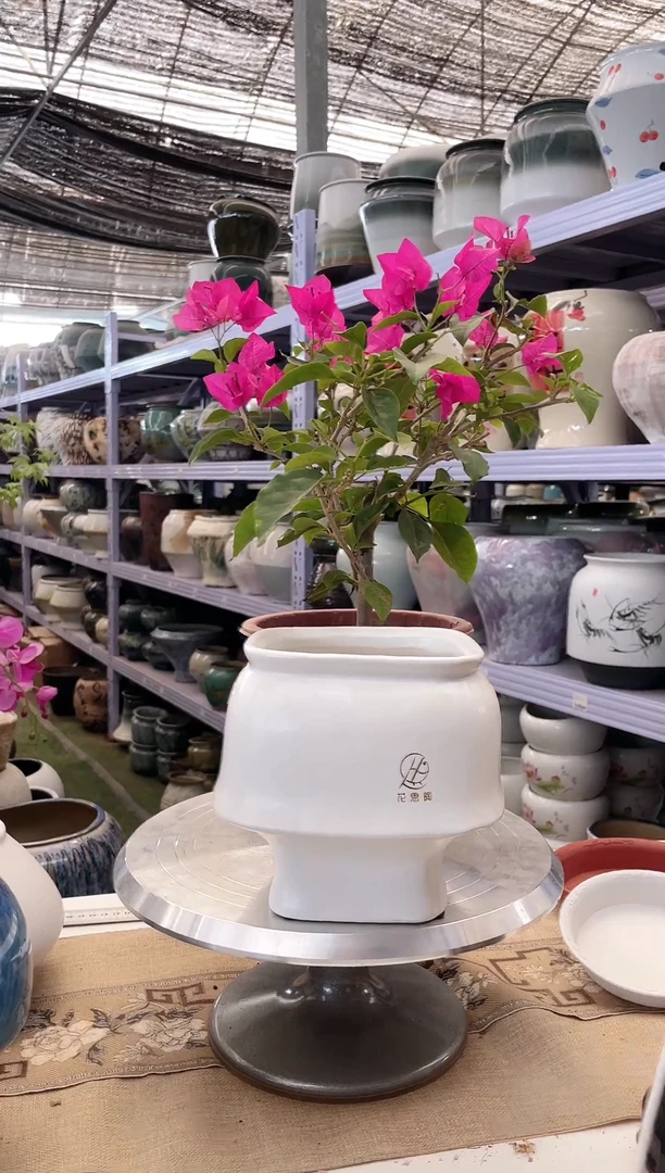 陶瓷花盆直播链接